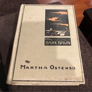 The dark dawn book